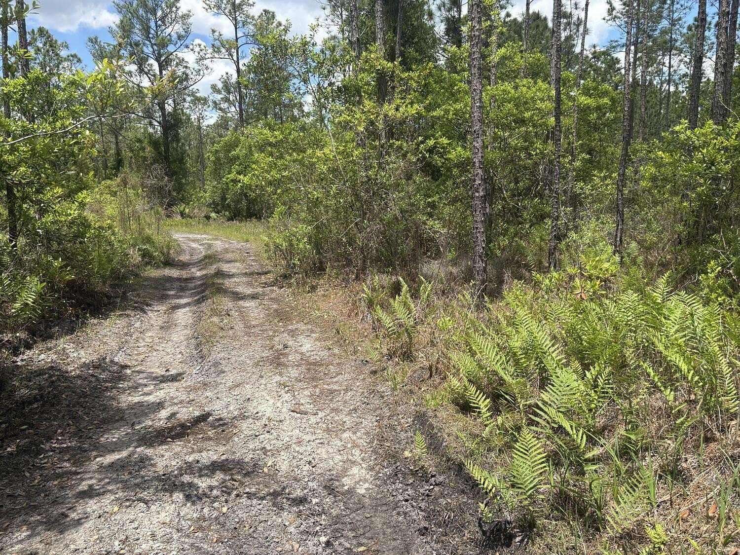 0.31 Acres of Land for Sale in St. Cloud, Florida