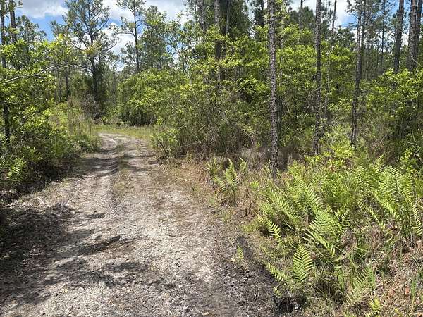 0.31 Acres of Land for Sale in St. Cloud, Florida