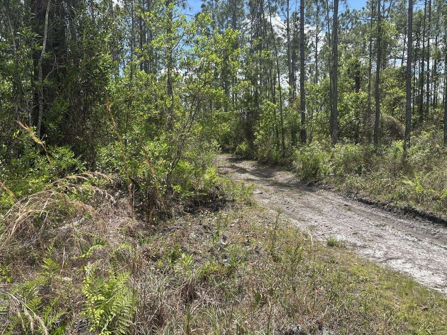 0.31 Acres of Land for Sale in St. Cloud, Florida