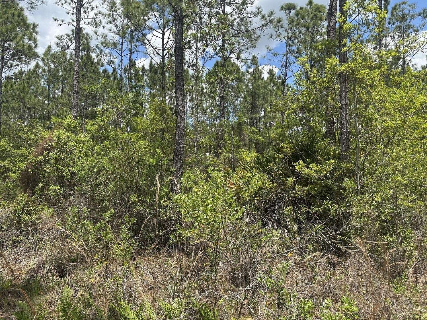 0.31 Acres of Land for Sale in St. Cloud, Florida