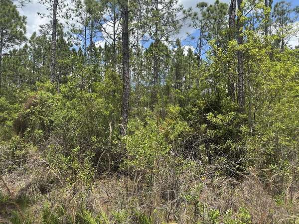 0.31 Acres of Land for Sale in St. Cloud, Florida