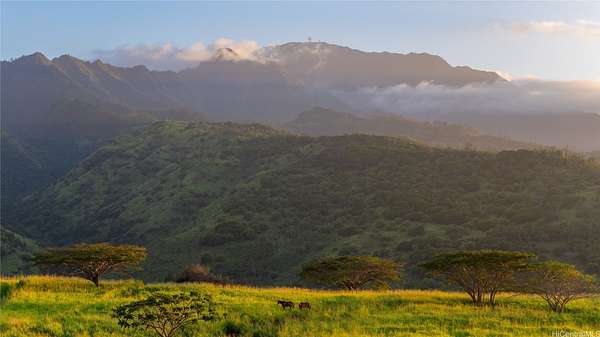Land for Sale in Waialua, Hawaii