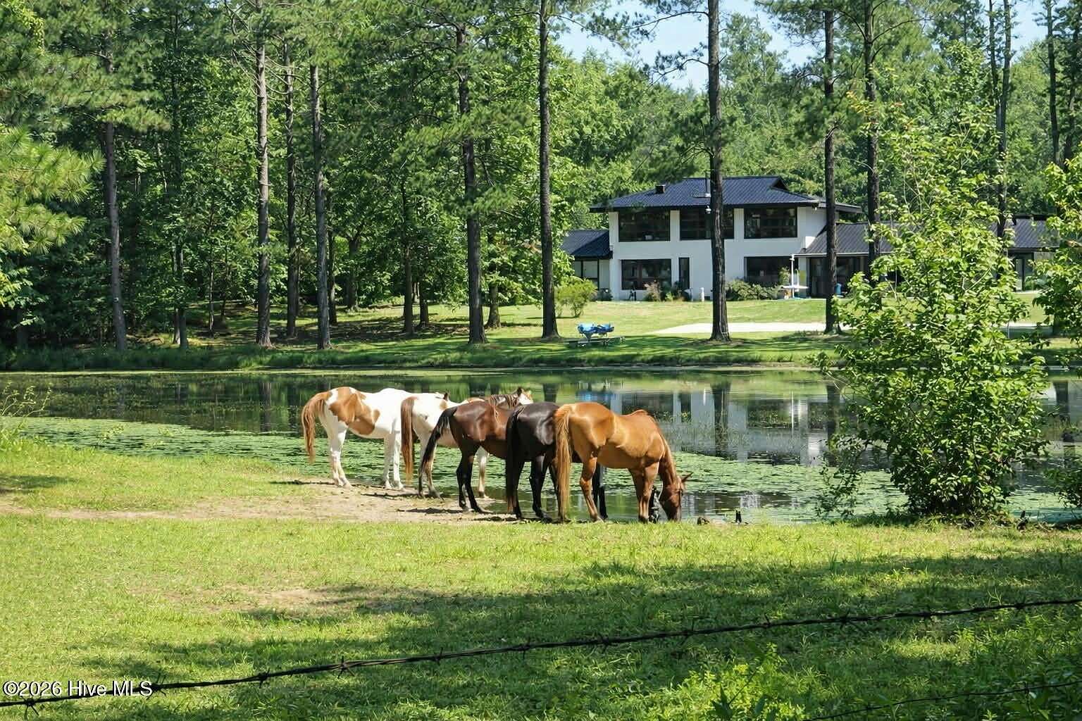 60 Acres of Land with Home for Sale in Rockingham, North Carolina