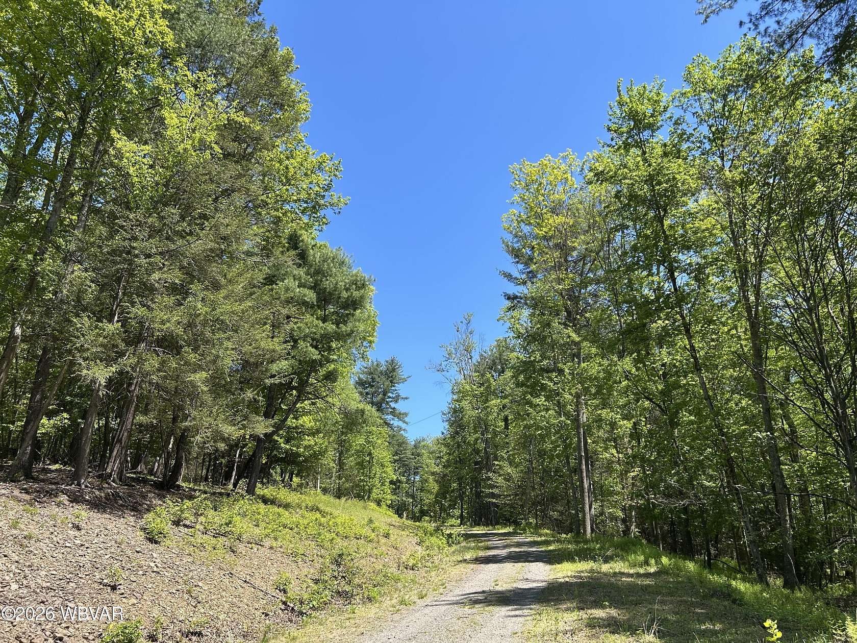 26.9 Acres of Recreational & Residential Land for Sale in Montoursville, Pennsylvania