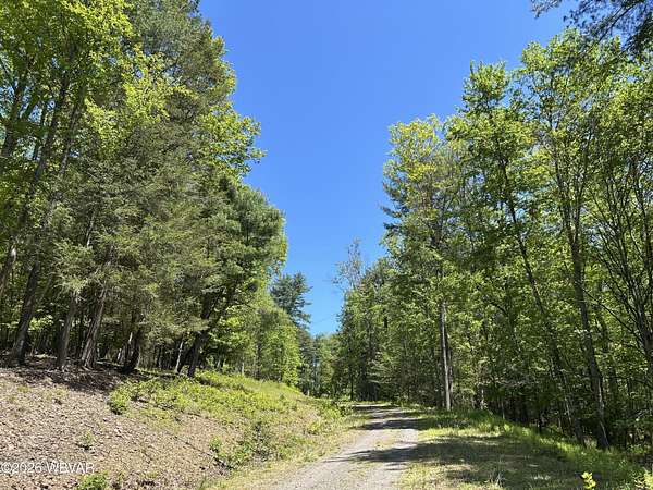26.9 Acres of Recreational & Residential Land for Sale in Montoursville, Pennsylvania
