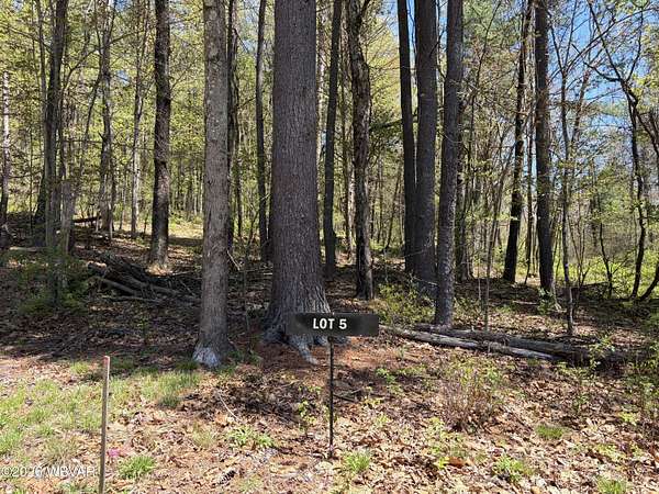 7 Acres of Residential Land for Sale in Montoursville, Pennsylvania