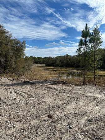 0.87 Acres of Residential Land for Sale in Webster, Florida