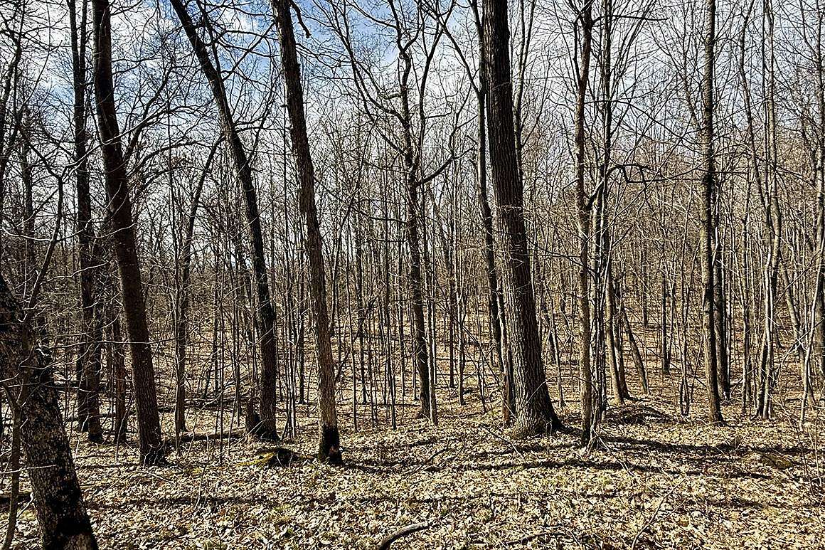 1.75 Acres of Land for Sale in Chetek, Wisconsin