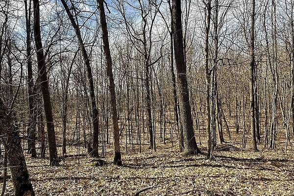 1.75 Acres of Land for Sale in Chetek, Wisconsin