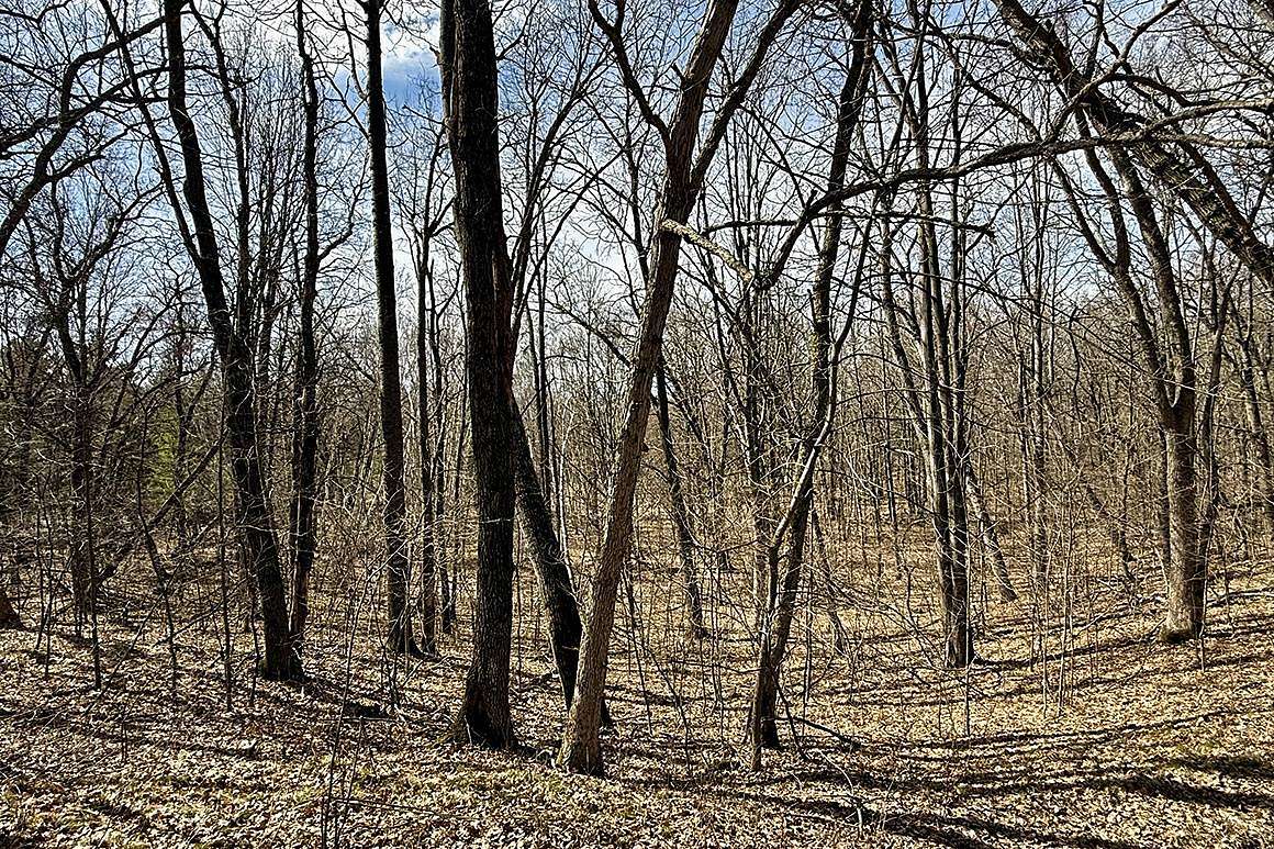 1.69 Acres of Land for Sale in Chetek, Wisconsin