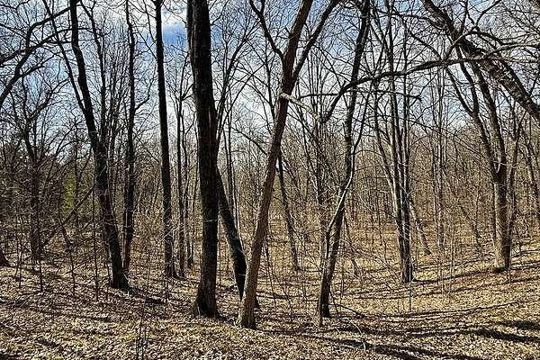 1.69 Acres of Land for Sale in Chetek, Wisconsin