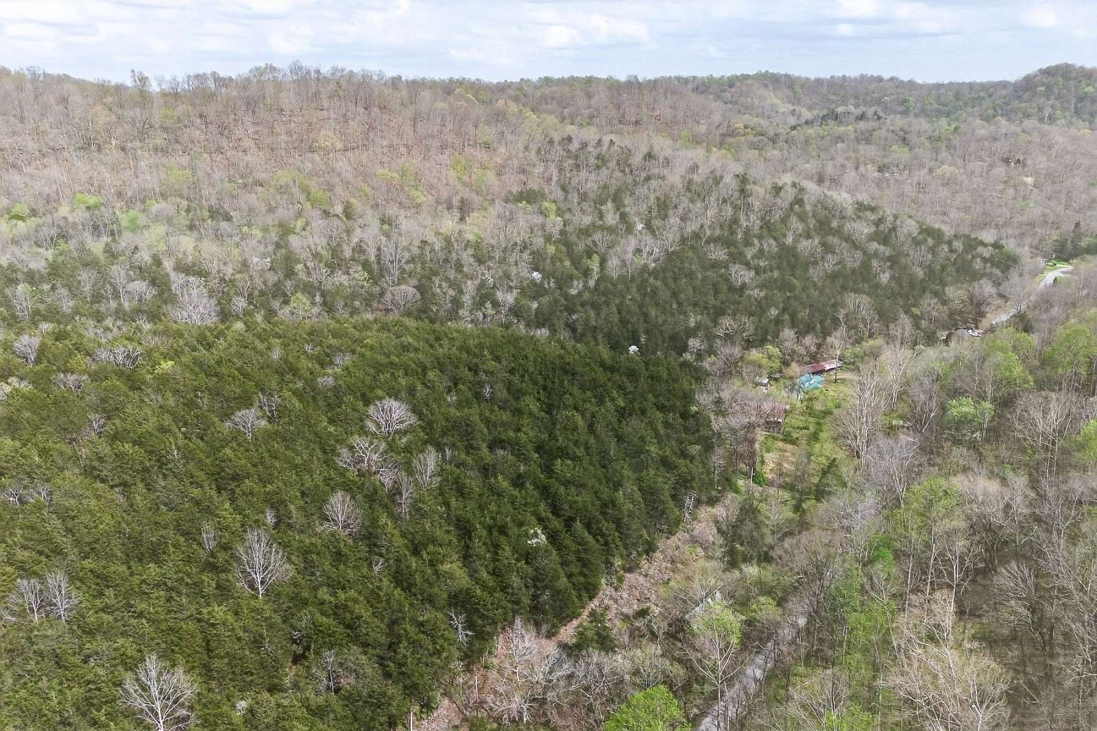 24 Acres of Land for Auction in Gainesboro, Tennessee