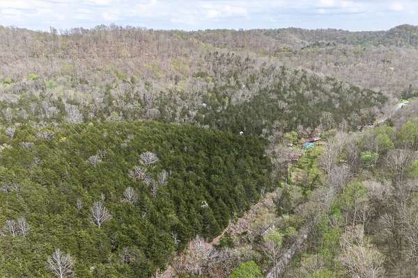 24 Acres of Land for Auction in Gainesboro, Tennessee