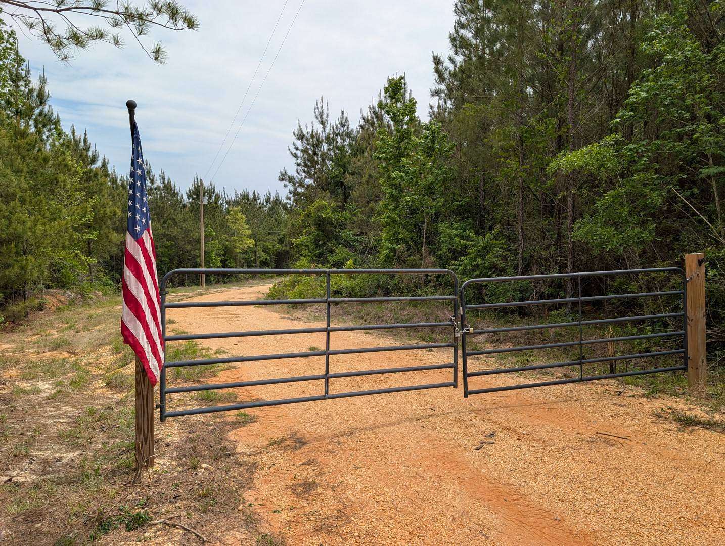 12.8 Acres of Land for Sale in Georgiana, Alabama