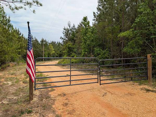 12.8 Acres of Land for Sale in Georgiana, Alabama