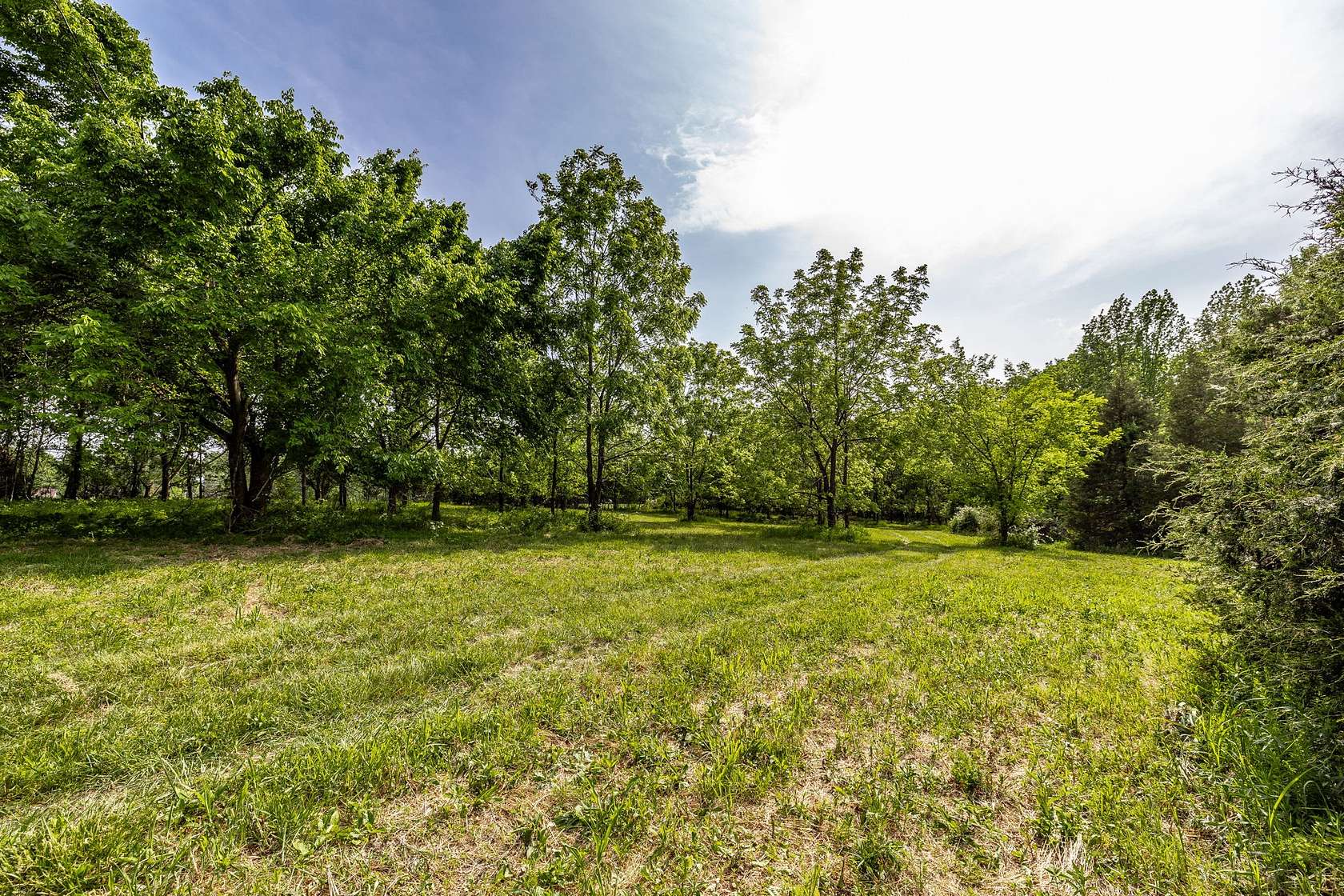24.8 Acres of Land for Sale in Bethpage, Tennessee
