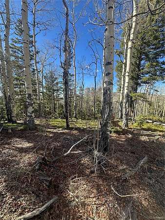 17.7 Acres of Recreational & Residential Land for Sale in San Luis, Colorado