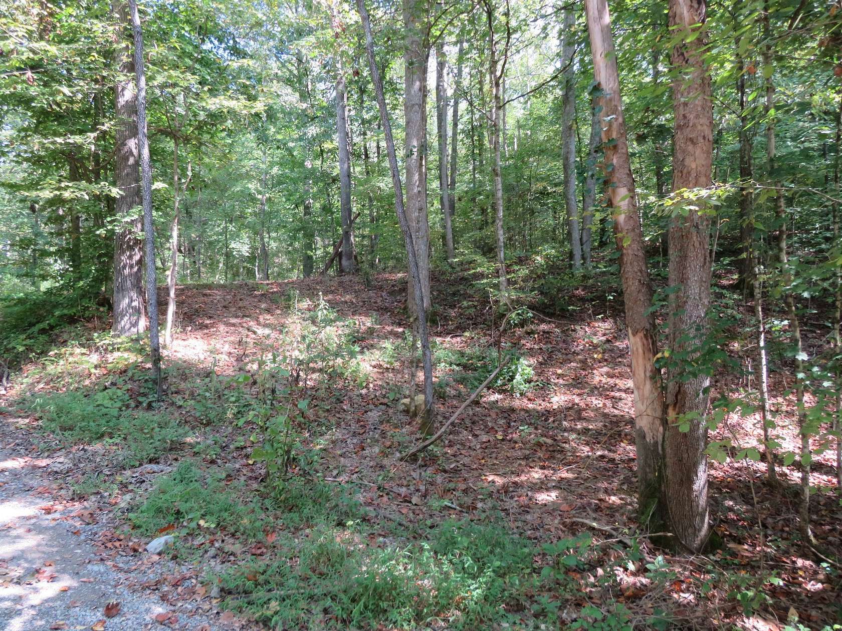 8.39 Acres of Residential Land for Sale in Gallatin, Tennessee