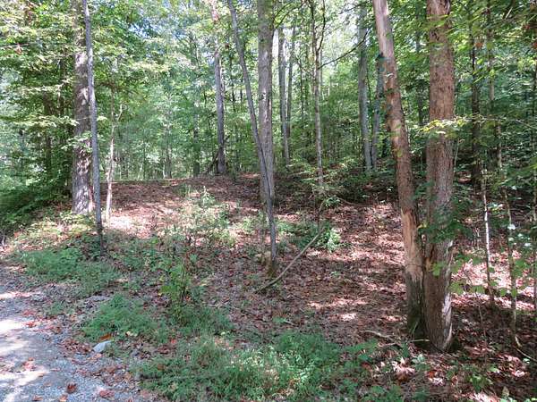 8.39 Acres of Residential Land for Sale in Gallatin, Tennessee