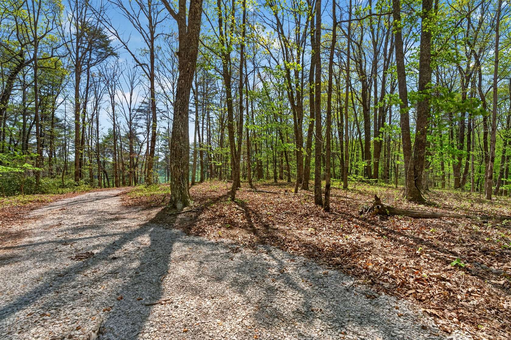 13 Acres of Land for Sale in Monteagle, Tennessee