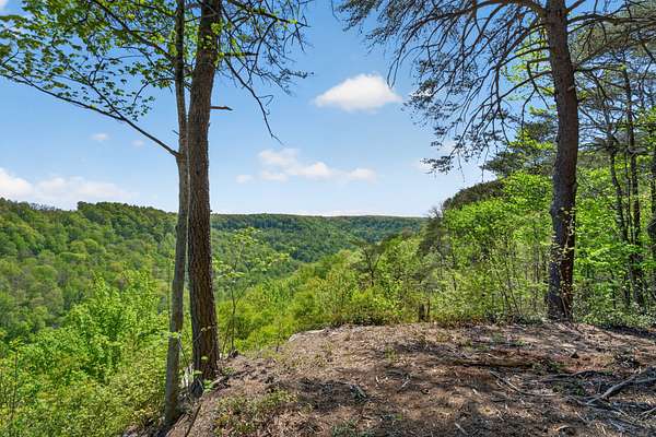 13 Acres of Land for Sale in Monteagle, Tennessee