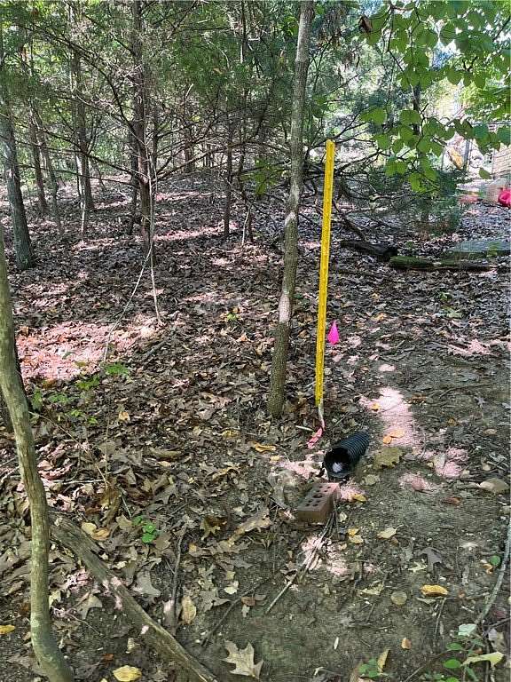 0.9 Acres of Residential Land for Sale in Lakeview, Arkansas