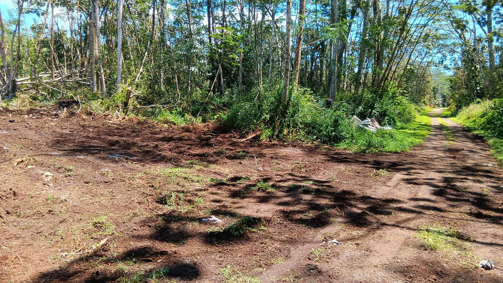 0.19 Acres of Residential Land for Sale in Pahoa, Hawaii