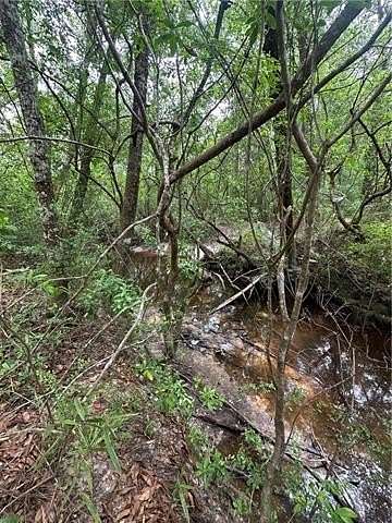 11.2 Acres of Mixed-Use Land for Sale in Abita Springs, Louisiana