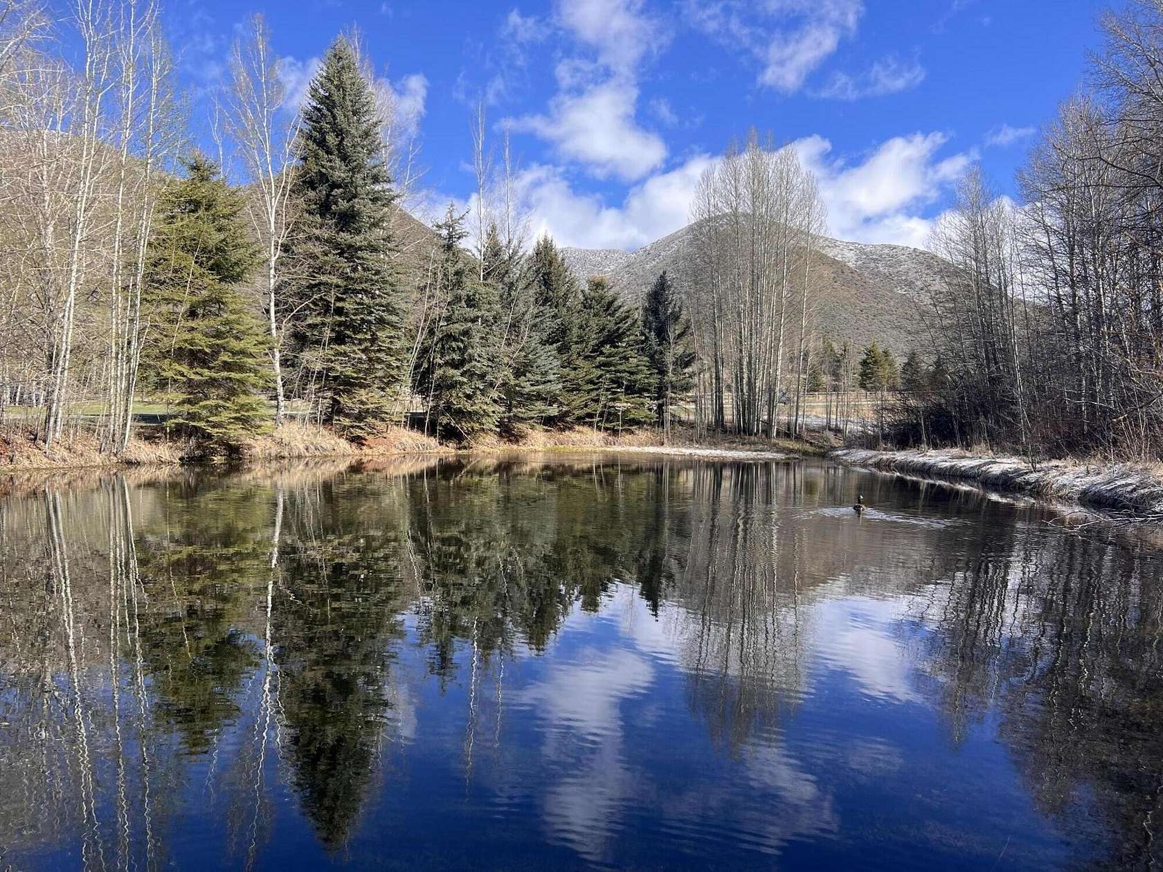 3.72 Acres of Residential Land for Sale in Hailey, Idaho