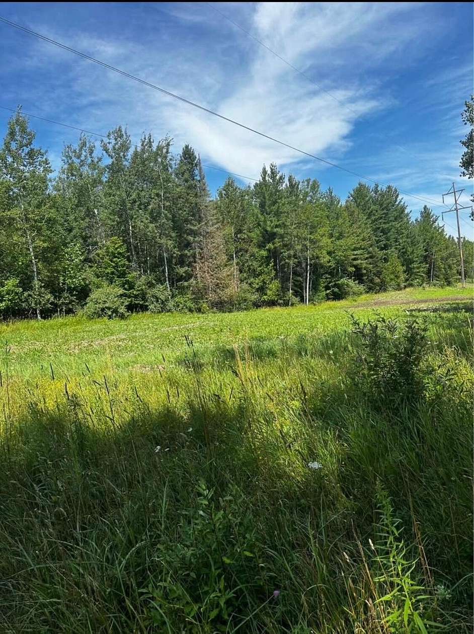 66.7 Acres of Land for Sale in Spruce, Michigan
