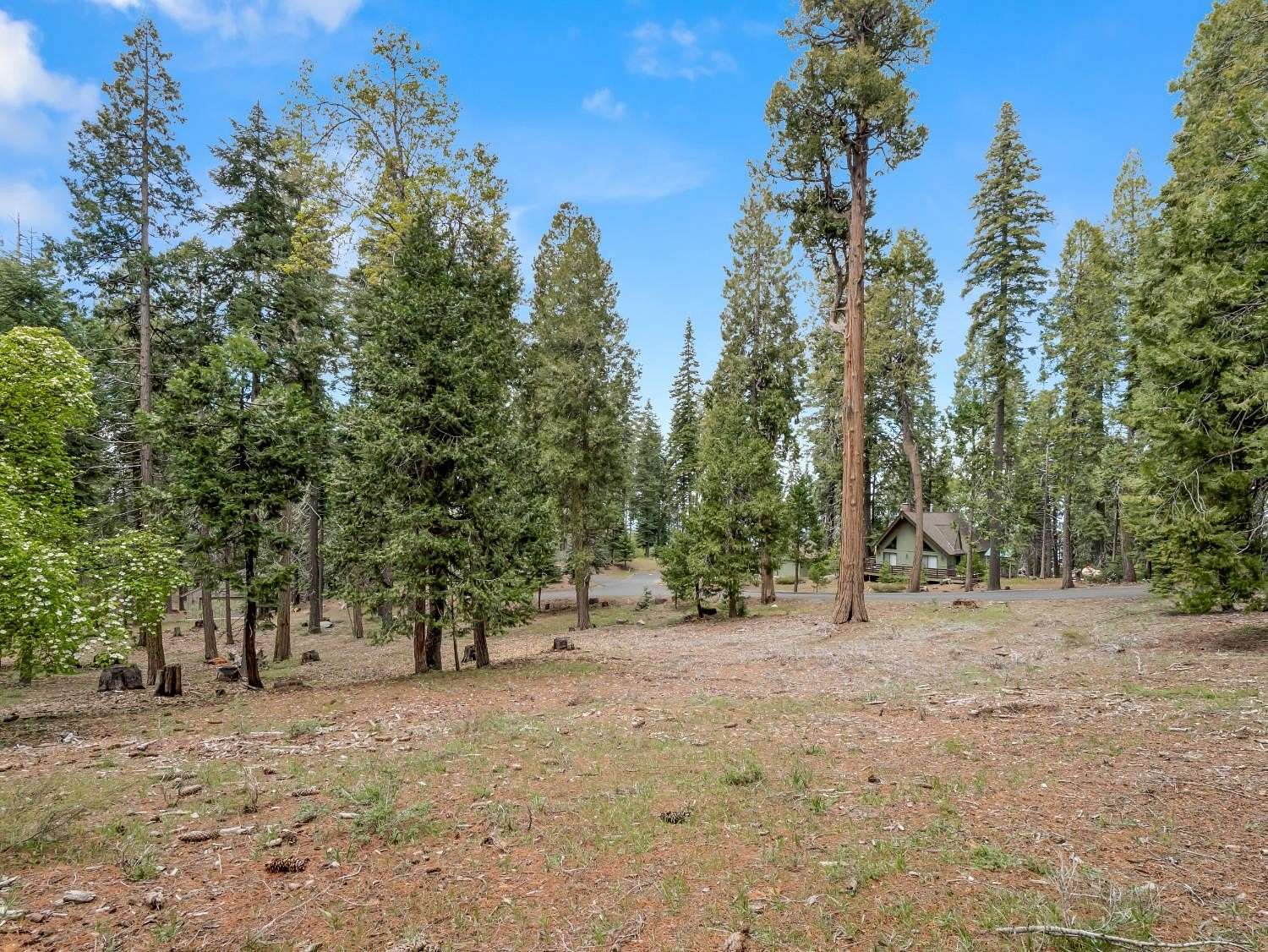 2 Acres of Residential Land for Sale in Shaver Lake, California