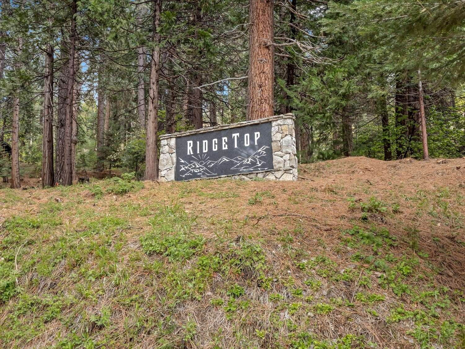 2 Acres of Residential Land for Sale in Shaver Lake, California