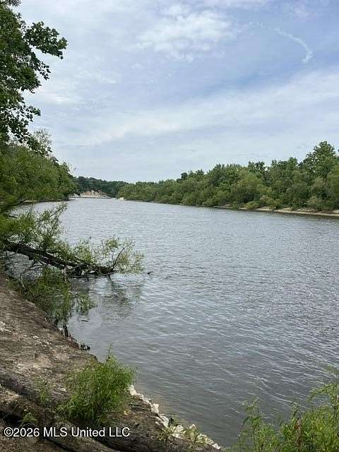 30.1 Acres of Recreational Land for Sale in Perkinston, Mississippi