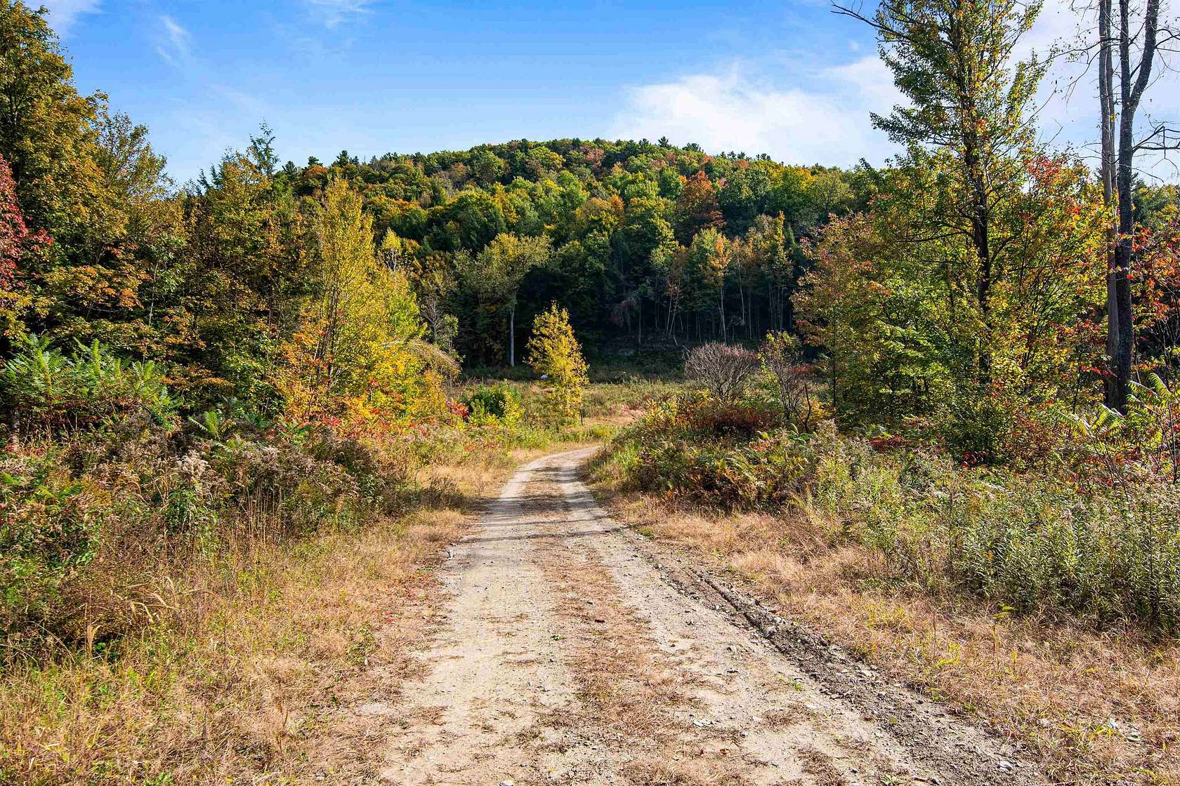 34.7 Acres of Recreational & Residential Land for Sale in Highgate Town, Vermont