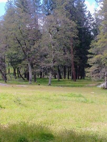 3.18 Acres of Land for Sale in Hayfork, California