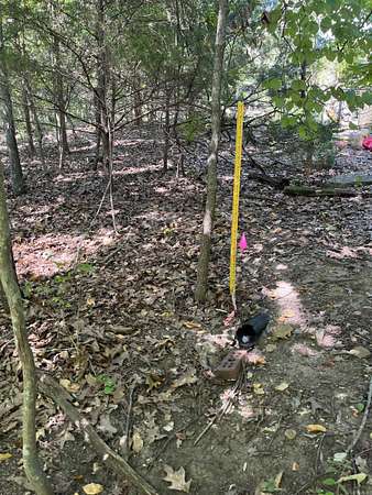 0.9 Acres of Residential Land for Sale in Lakeview, Arkansas