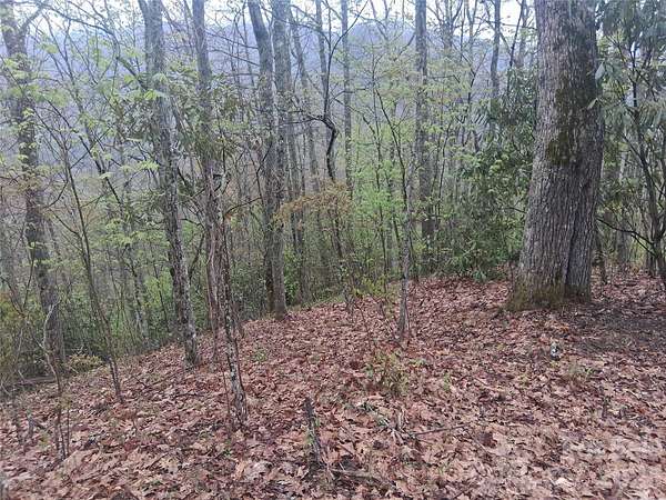 5.2 Acres of Residential Land for Sale in Maggie Valley, North Carolina