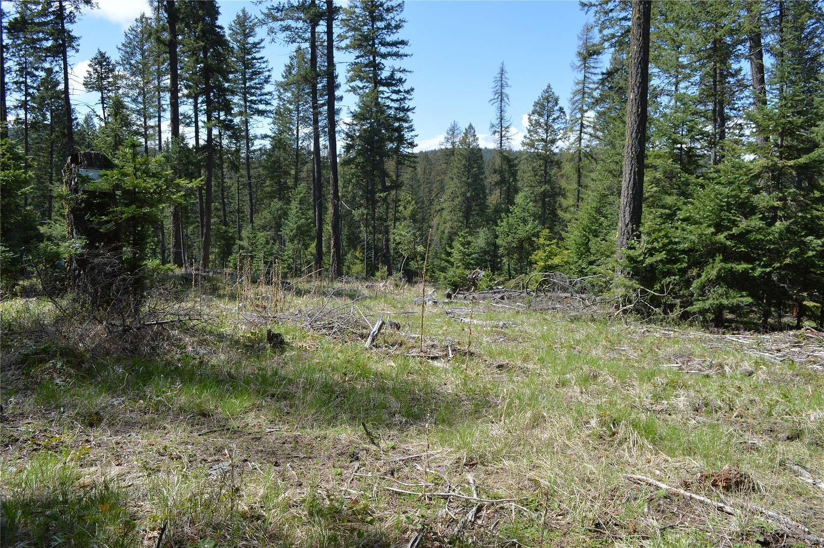 40.6 Acres of Land for Sale in Whitefish, Montana