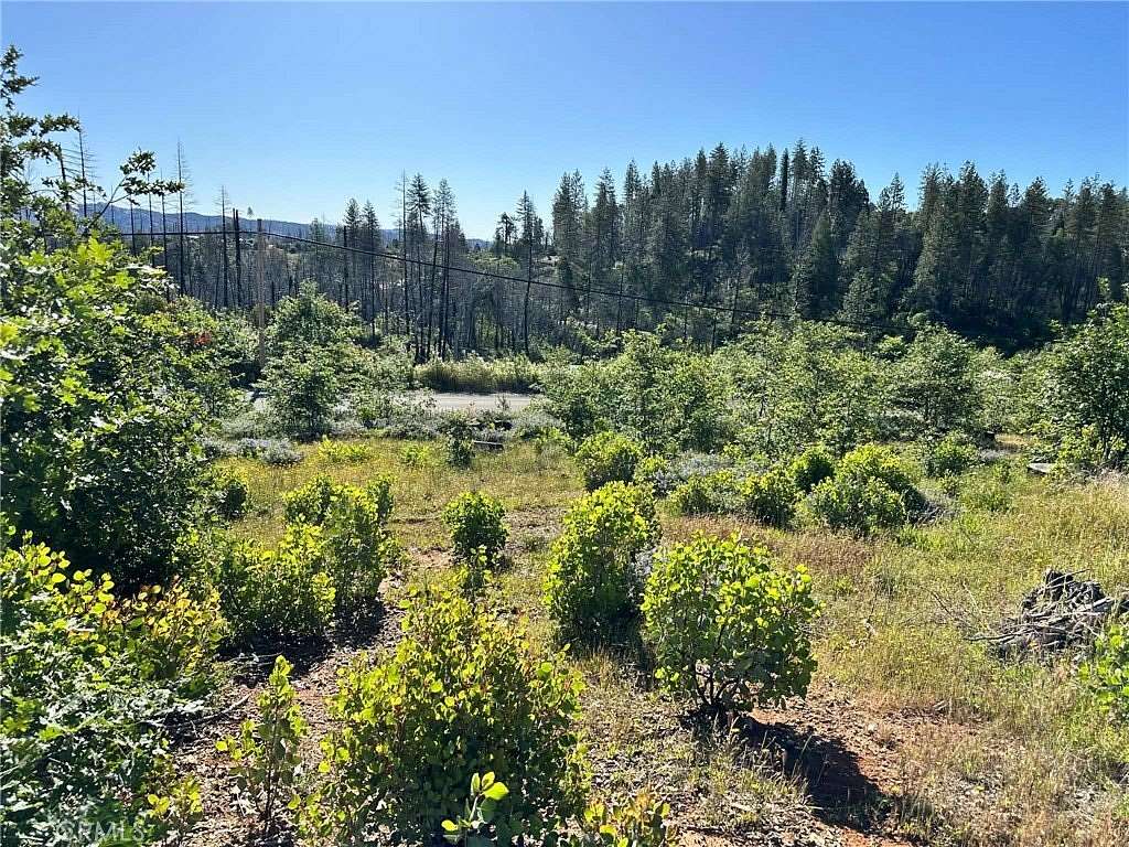 0.88 Acres of Land for Sale in Berry Creek, California