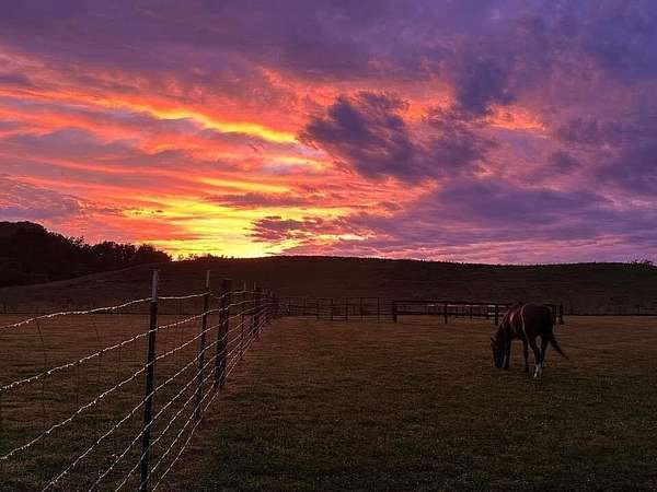 5.19 Acres of Land with Home for Sale in Hustonville, Kentucky