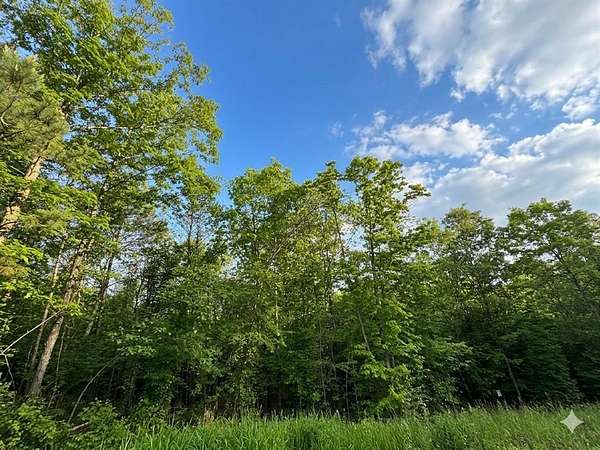 2.74 Acres of Residential Land for Sale in Watson, Oklahoma