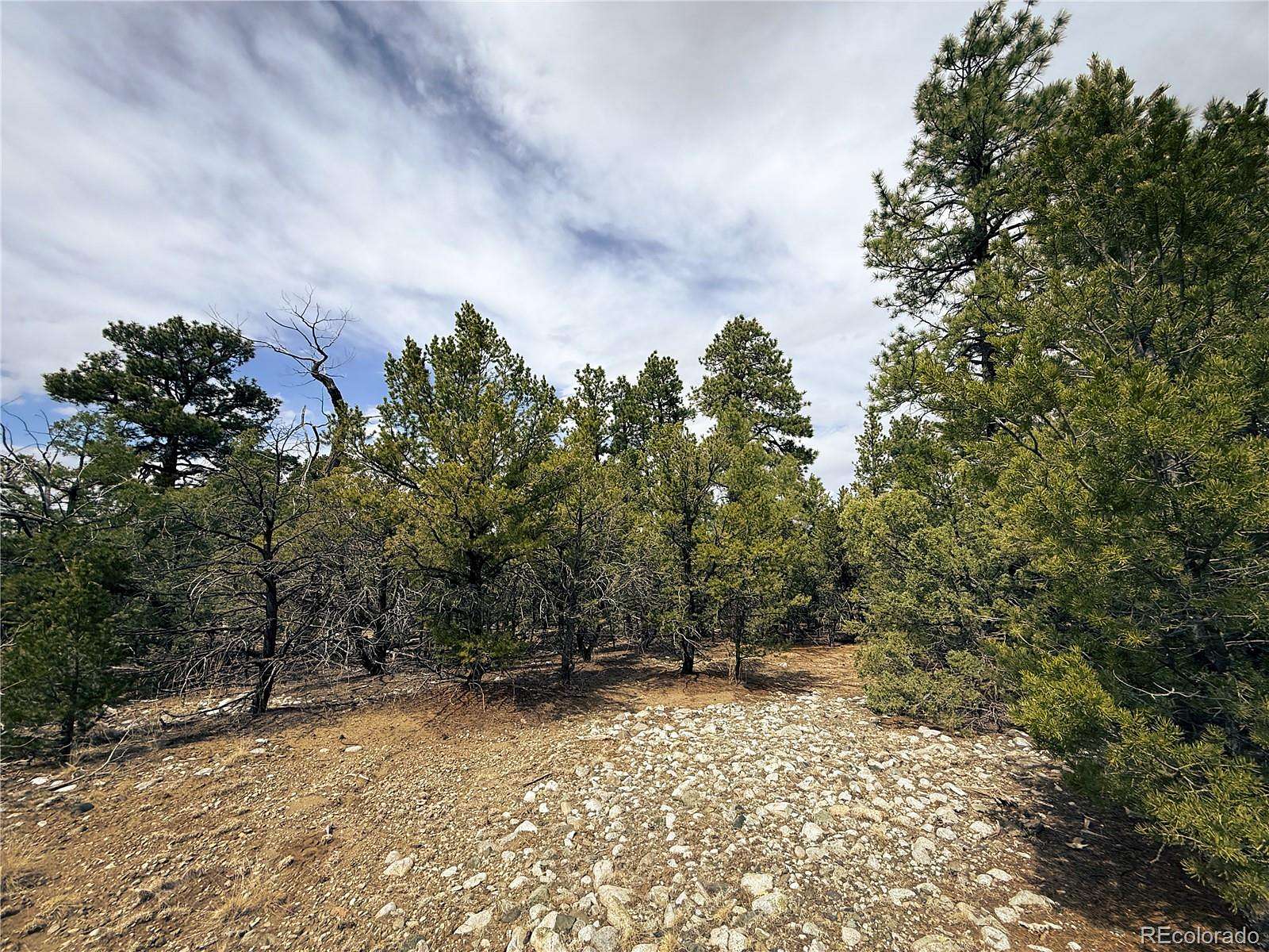 1 Acre of Residential Land for Sale in Mosca, Colorado