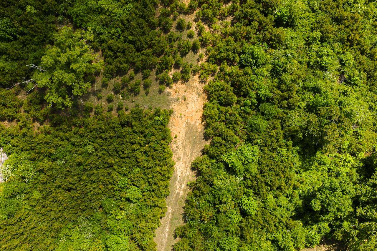 20 Acres of Recreational Land for Sale in Louisville, Mississippi