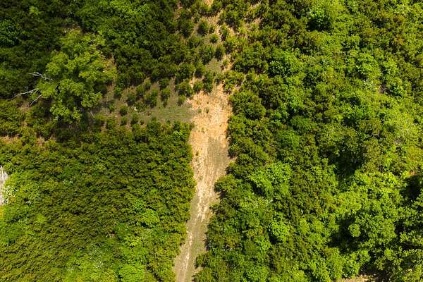 20 Acres of Recreational Land for Sale in Louisville, Mississippi