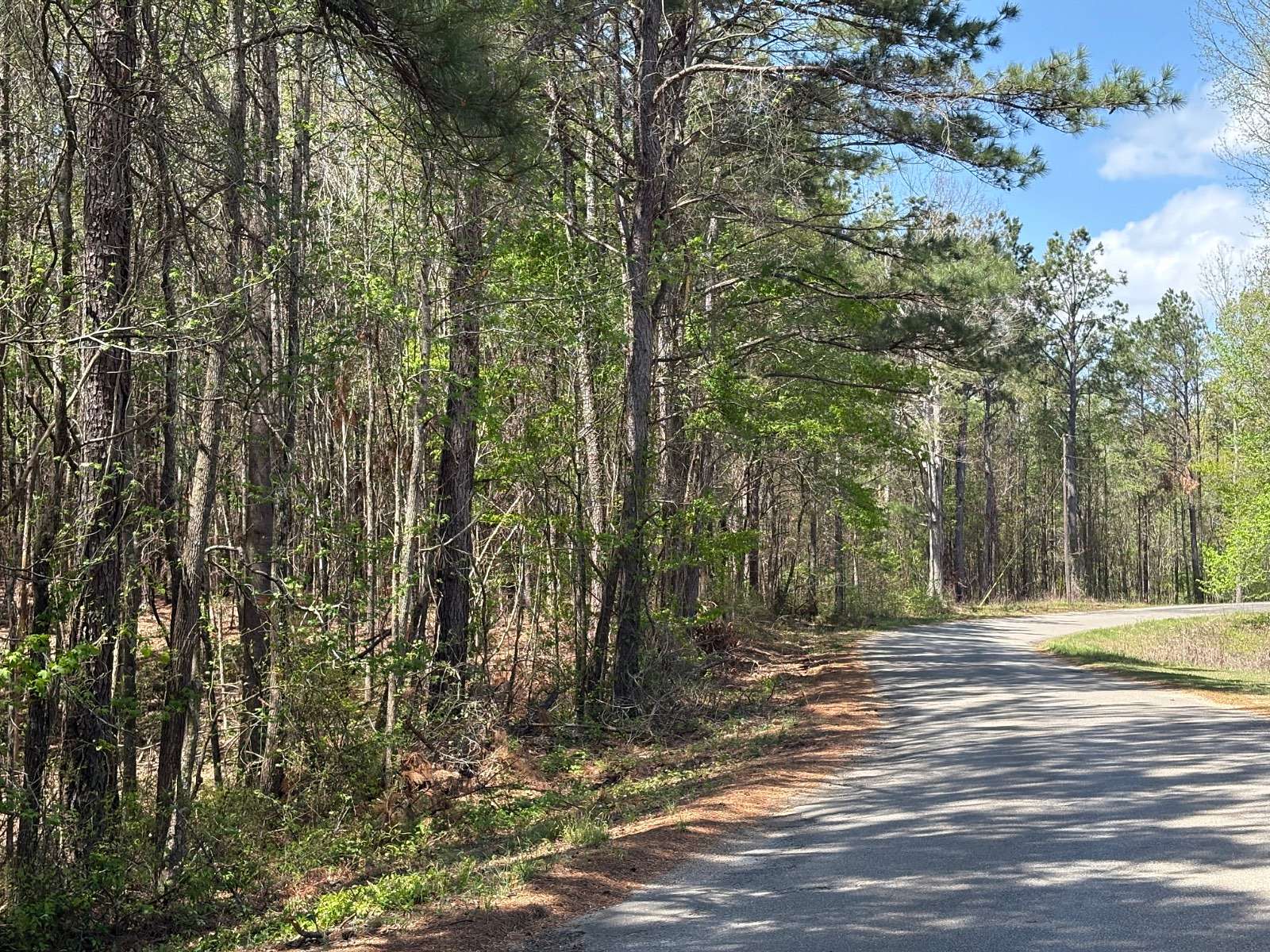 33.5 Acres of Recreational & Residential Land for Sale in Booneville, Mississippi