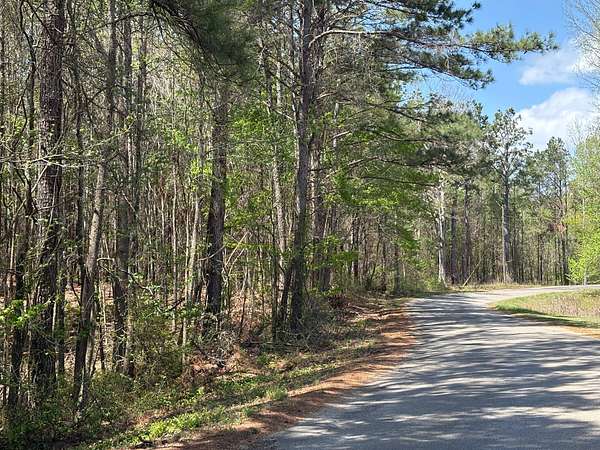 33.5 Acres of Recreational & Residential Land for Sale in Booneville, Mississippi