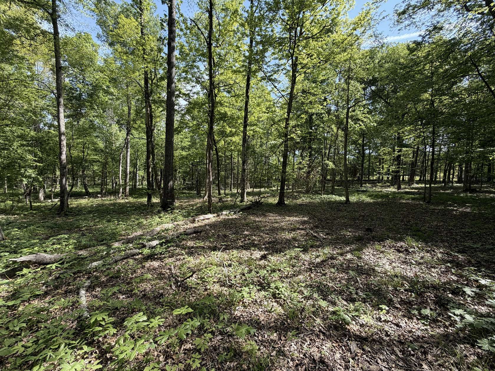 13 Acres of Land for Sale in Christiana, Tennessee