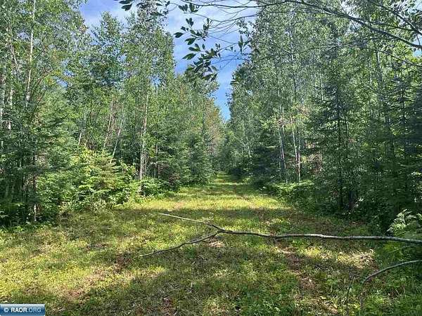 160 Acres of Recreational & Residential Land for Sale in Birchdale, Minnesota