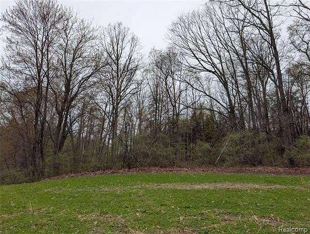 Residential Land for Sale in Arcadia Township, Michigan