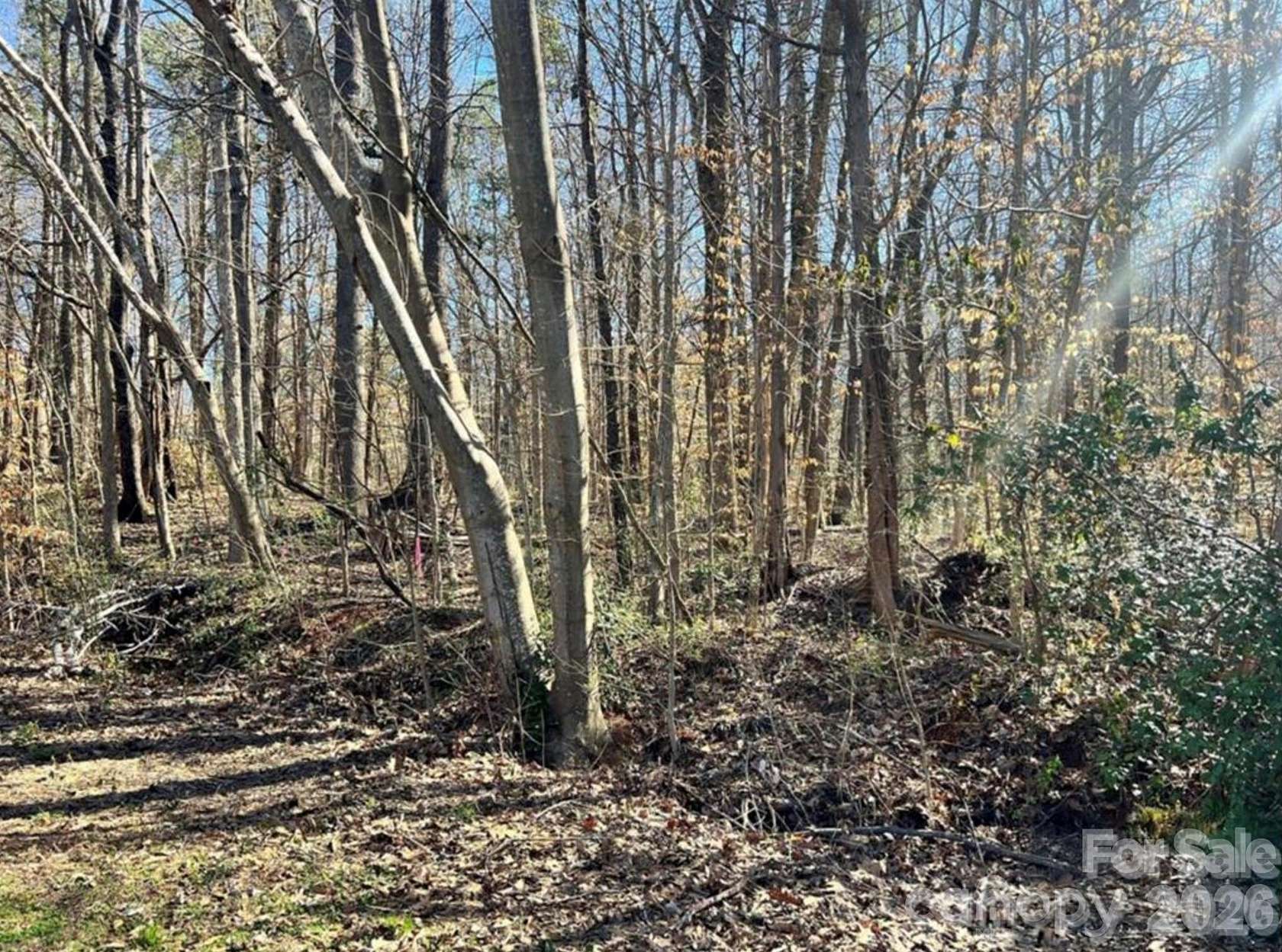 1 Acre of Residential Land for Sale in Fort Mill, South Carolina